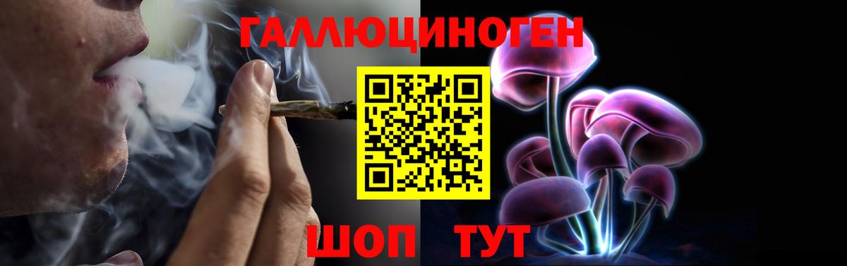 Галлюциногенные грибы GOLDEN TEACHER  Вход с VPN  Москва  Псилоцибиновые грибы прущие грибы 